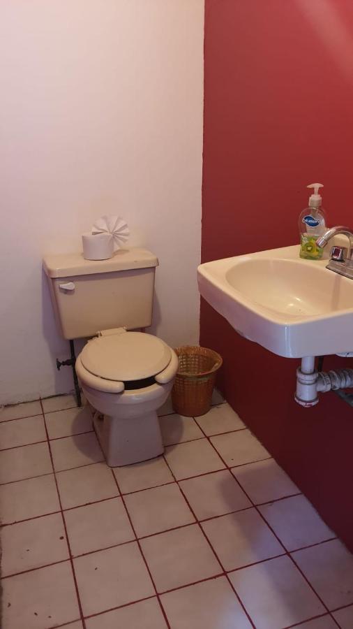 מקסיקו סיטי Hostal Don Diego מראה חיצוני תמונה